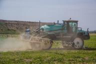 Аграрии Беларуси отчитались о посевах ранних яровых 