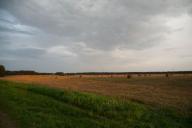 Ранние яровые в Беларуси посеяны более чем на 60 % площадей