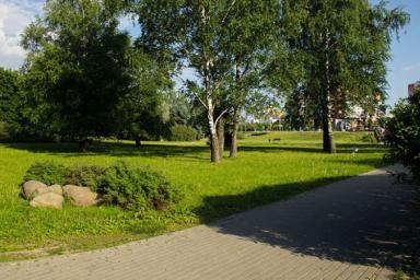 В Минске стартовал онлайн-проект по озеленению дворов