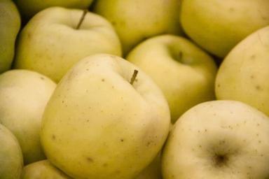 Россельхознадзор полностью запретил ввоз яблок и груш из Беларуси