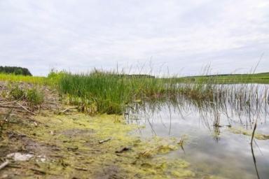 Акция Чистый водоем стартует в Беларуси