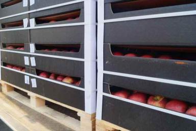 22 тонны яблок «для личного пользования» пытались контрабандой вывезти россияне