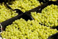 В Бресте будут выращивать виноград и делать коньяк вместе с молдаванами