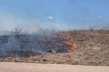 Поджигателя сухой травы задержали в Витебском районе местные жители