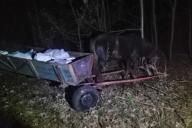 Ночью трое украинцев на телегах пытались вывезти в Беларусь почти тонну сала