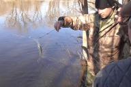 Рыбак-браконьер наладил промысел в центре Гомеля