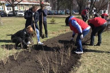 Стартует «Неделя леса». В Минске появятся сотни новых деревьев 