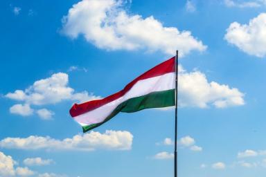В Венгрии осудили почти 40 украинцев за подделку документов