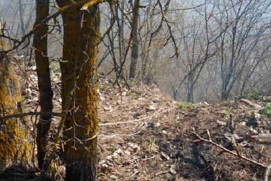 В Жлобинском районе в куче мусора нашли обгоревшее тело мужчины