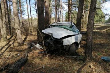 Нетрезвая бесправница врезалась в дерево в Речицком районе, пассажир в реанимации