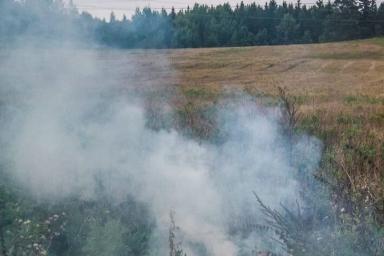 В Оршанском районе сгорело 5 тонн соломы