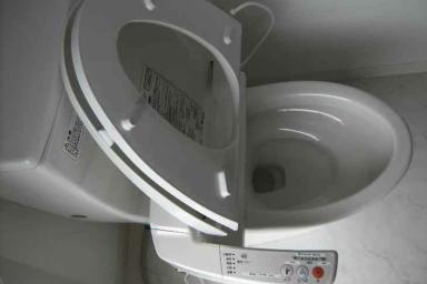 Минчанин, укравший в туалете кафе стульчак за 180 евро, сдался милиции