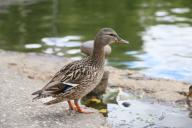 Погода на 18 апреля 2019 года: тепло, но ветер 