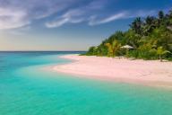 Директор минской турфирмы выманила у клиентов и знакомых более Br47 тыс.