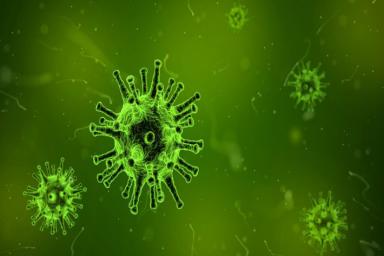 Ученые изобрели метод полного истребления вирусов