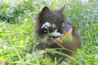 Погода на 20 апреля 2019 года: лето идет