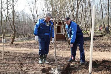 Лукашенко будет сажать деревья на «Линии Сталина»