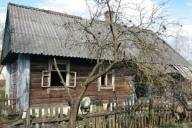 На пожаре в Дятловском районе кошка спасла хозяина, но погибла сама