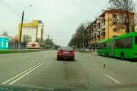 В Гомеле нашли и наказали водителя, который выбросил из окна бутылку