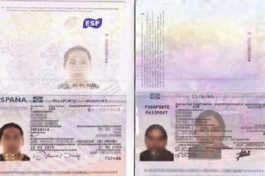 В Беларусь прорывался иностранец с чужим паспортом