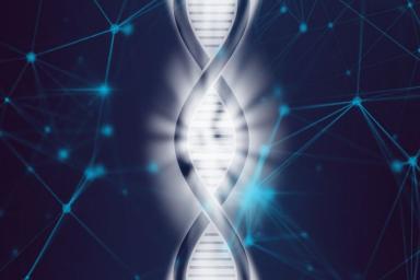 Ученые изучают гены, отвечающие за регенерацию
