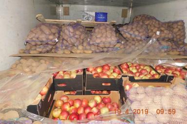 Россельхознадзор нашел в картошке из Беларуси спрятанные яблоки