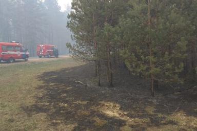 Лесной пожар под Гродно: со стихией сражаются около 200 человек 