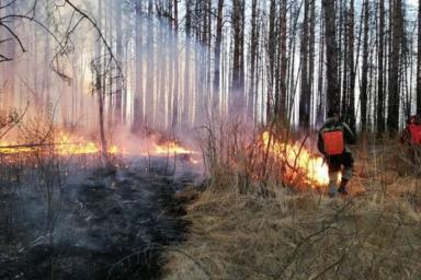 Пожар в Столинском районе занял уже 400 гектаров, его тушат с вертолетов