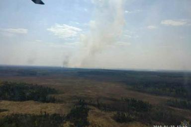 В Столинском районе – крупный пожар: горит 200 гектаров леса и сухой травы