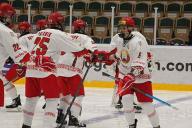 Белорусы сыграют с Россией в четвертьфинале юношеского ЧМ по хоккею