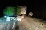 В Сенненском районе из-за животного на дороге столкнулись фура и микроавтобус