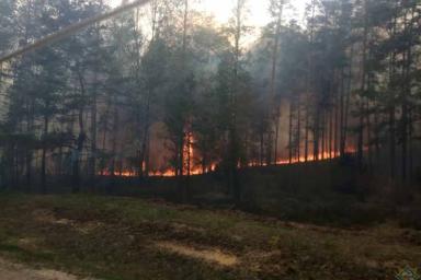 Третьи сутки горят Ольманские болота: пожар тушат 138 человек