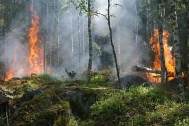 Белорусские пожарные спасают украинскую деревню от огня