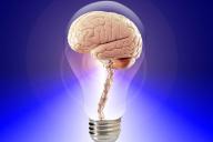 Ученые рассказали, как воздействует дефицит витамина B12 на мозг 