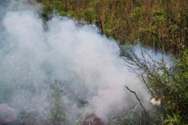 Радиационный фон в Беларуси из-за пожара на Ольманских болотах не изменился