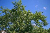 Погода на 27-30 апреля 2019 года: что будет на Пасху 