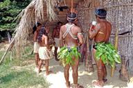 Археологи нашли останки древних людей, которые меняют представление о современных людях