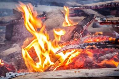 В родном лесу Винни-Пуха случился пожар