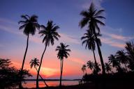 Туристов предупредили, в каких странах боевики готовят теракты по сценарию Шри-Ланки