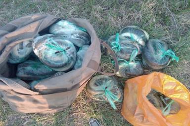 В Мядельском районе трое браконьеров добыли 45 кг угря