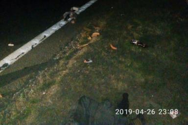 Водитель в Белыничском районе сбил пешехода и скрылся