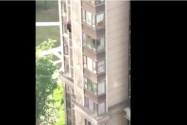 84-летняя старушка убежала из дома через окно квартиры на 14-м этаже