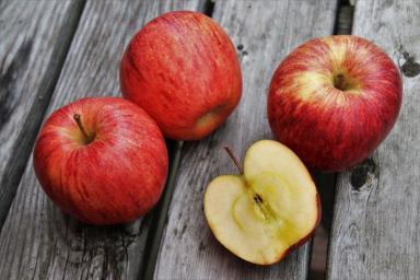 Ученые назвали 7 причин, которые подтолкнут к ежедневному употреблению яблок