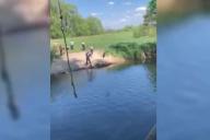 Жестокость к животным: мужчина три раза бросил собаку в реку