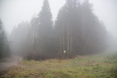 В Пуховичском районе спасли заблудившуюся в лесу девочку
