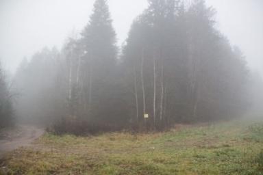 Тело пропавшего жителя Волковыска нашли в лесу