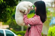 Ученые выяснили, что к домашним животным нельзя относиться, как к людям