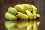 Ученые обвинили изменение климата в распространении банановой болезни