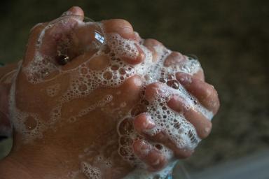  Специалисты рассказали, как мыть руки правильно