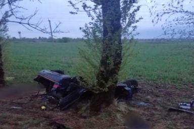 Водитель и двое пассажиров погибли в аварии в Бешенковичах
